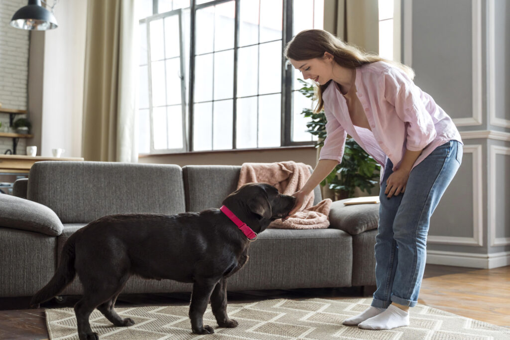 Mujer entrenando a un perro en el salón de casa